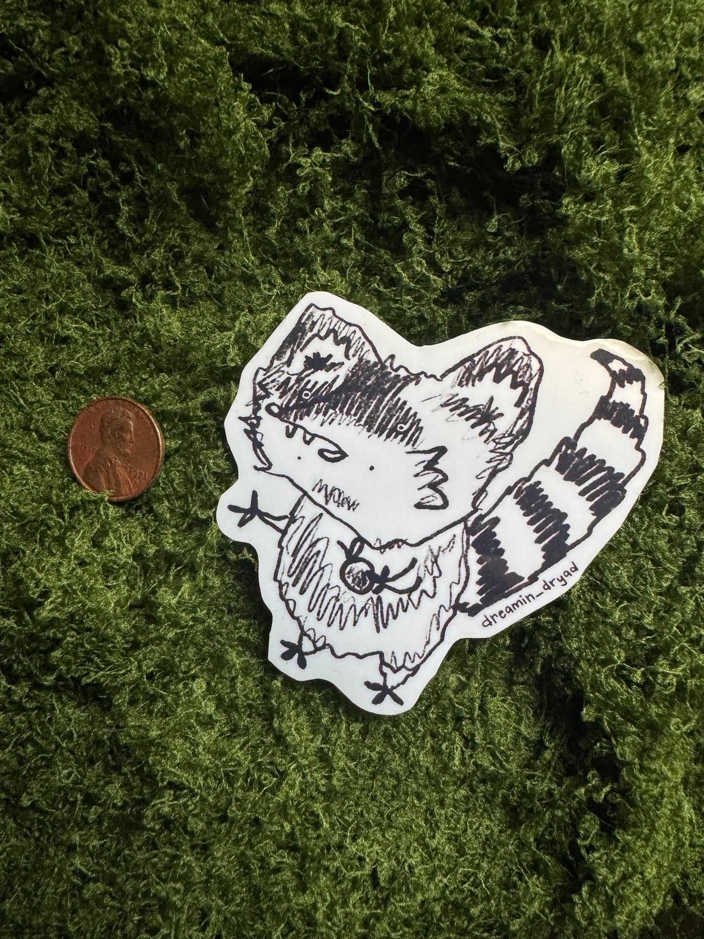 Raccoon Bandit