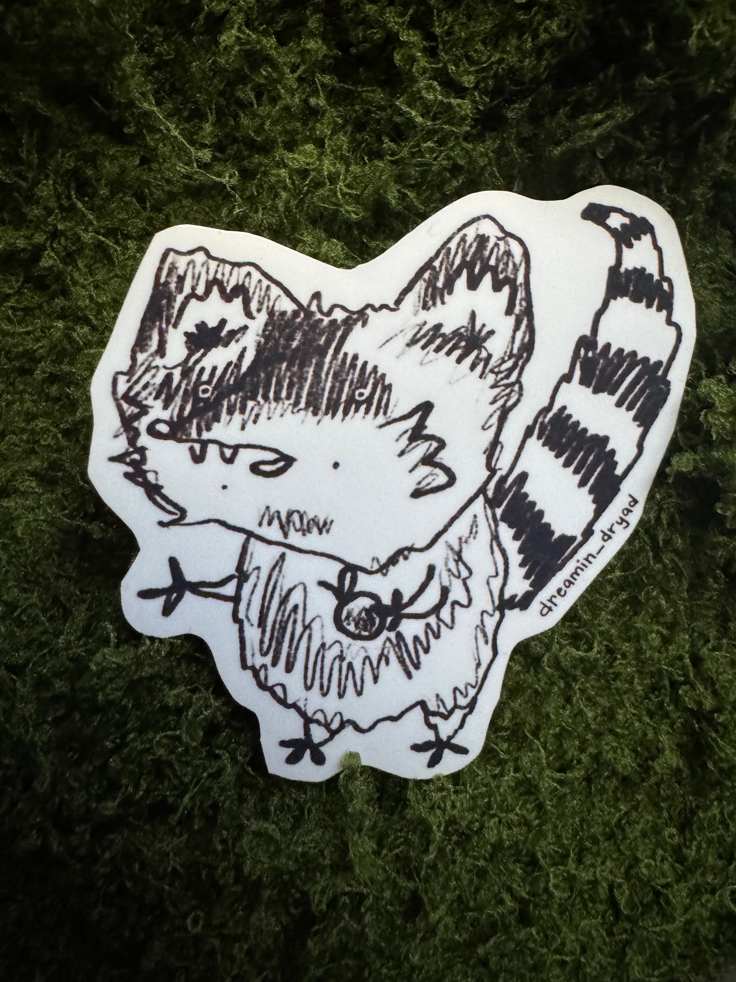 Raccoon Bandit