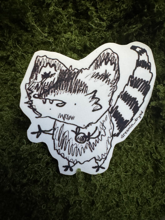Raccoon Bandit