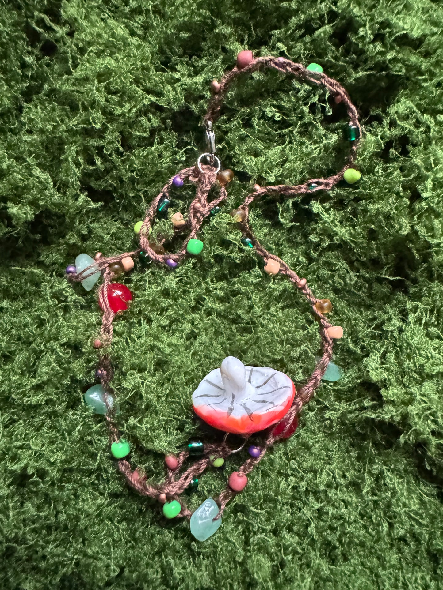 Toadstool Treasure