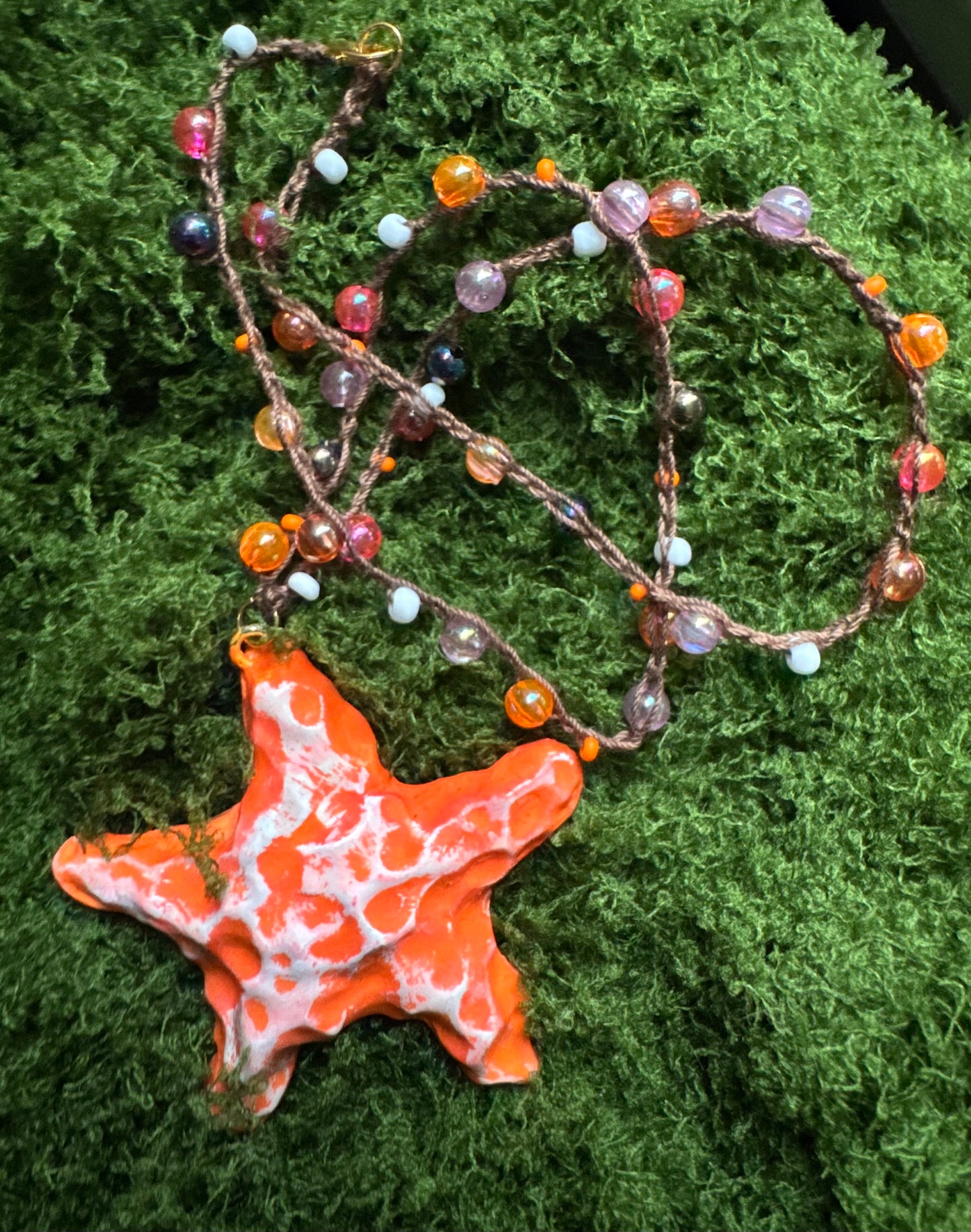 Reyna’s starfish